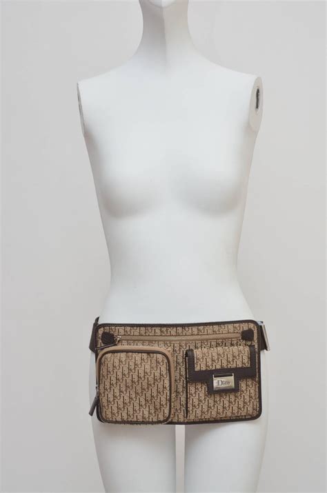 dior bum bag womens|christian dior waist bag.